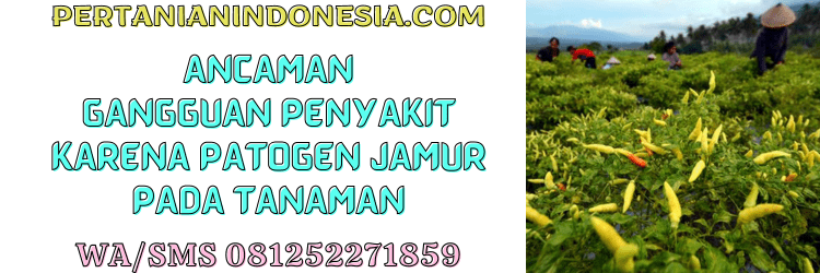 ancaman,gangguan,penyakit,jamur,pertanian indonesia